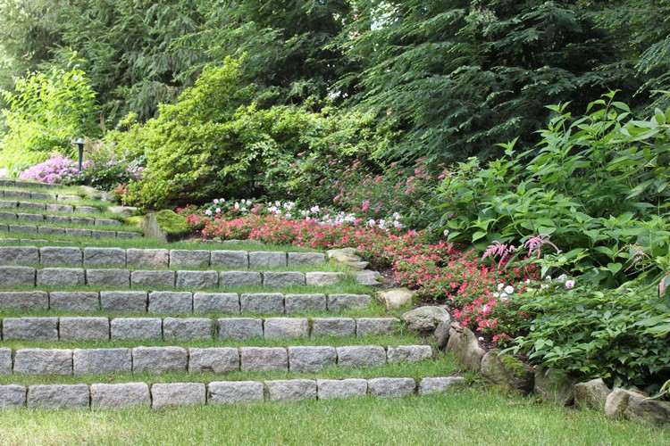 escadas jardim variantes grama degraus pedras