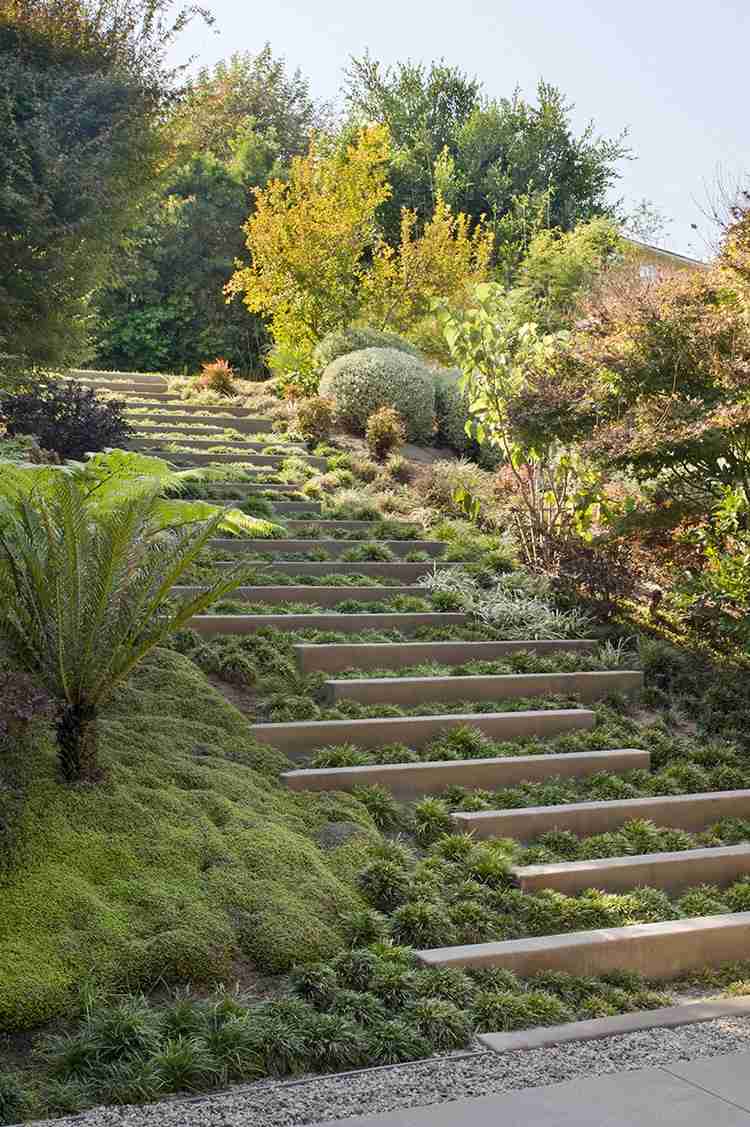 jardim encosta plantas degraus pedra