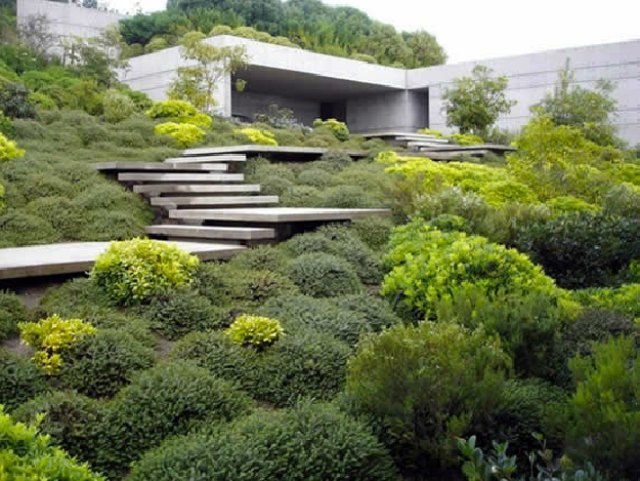 Casa de concreto com telhado plano e design de escada coberta de mato.
