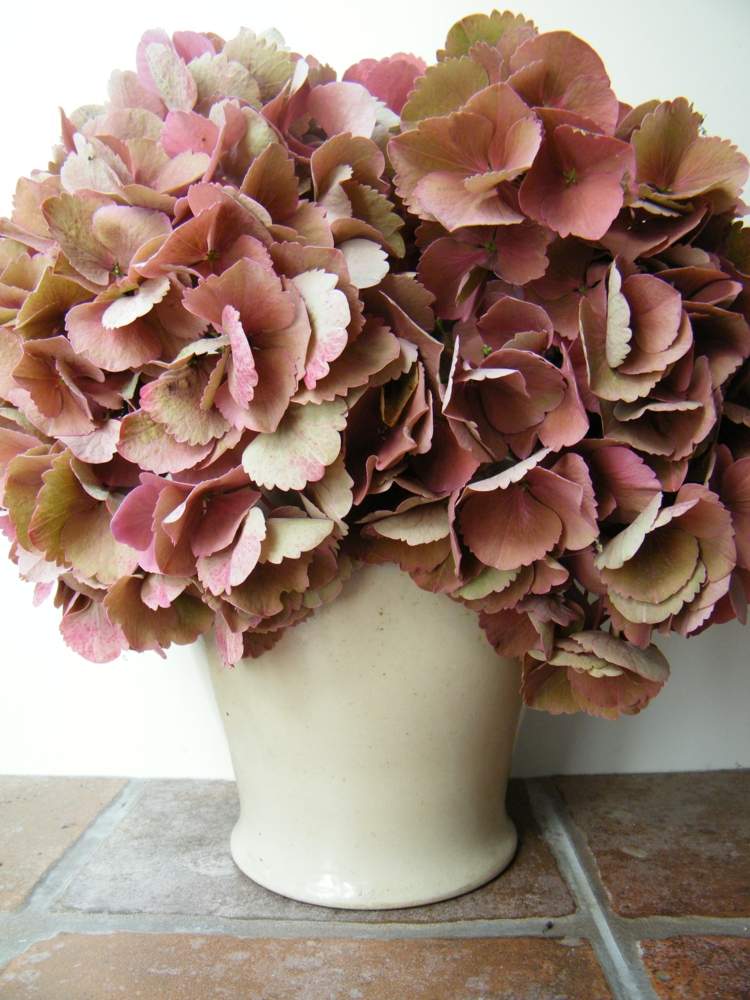 Faça seu próprio buquê seco ideia-jardim-flor-outono