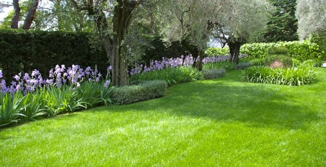 Proteja os canteiros de flores contra ervas daninhas sem produtos químicos