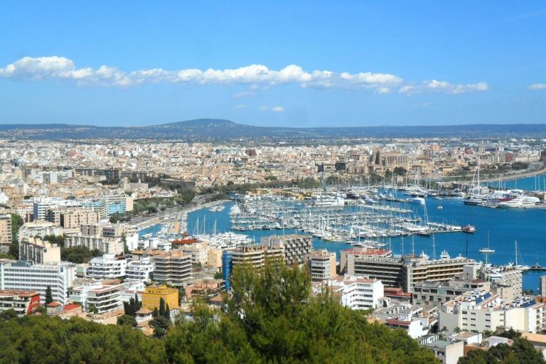 Férias no porto de Maiorca - visita ao transporte público