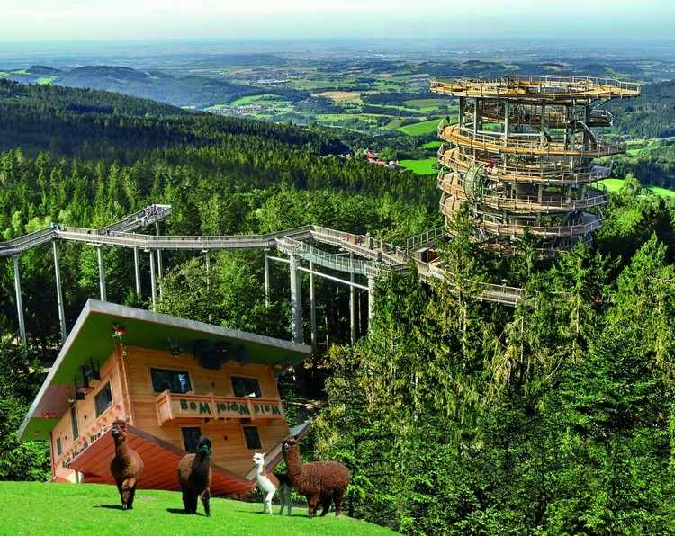 Waldwipfelweg Bavária Dicas de férias na floresta da Baviera