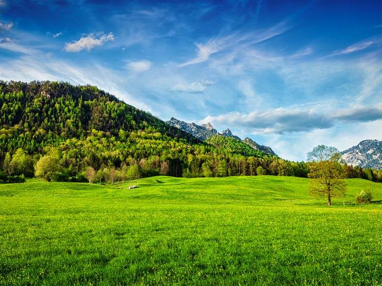 Trilhas para caminhadas na Baviera Dicas de férias na floresta da Baviera