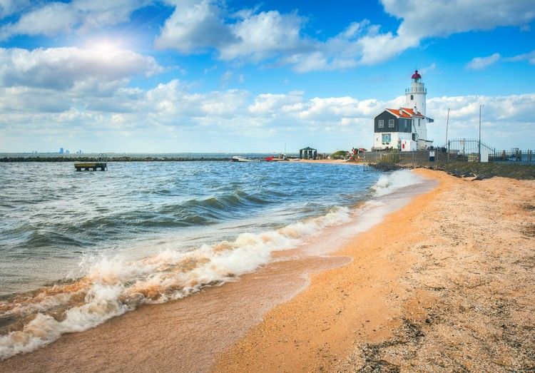 Praias que aceitam cães na Holanda Férias na Holanda à beira-mar