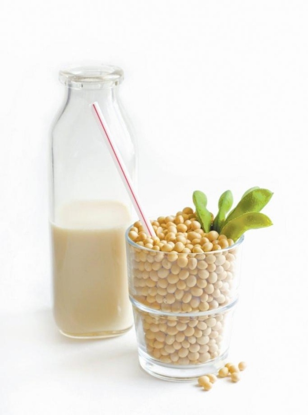 comida vegana vitaminas nutrientes beber leite de soja