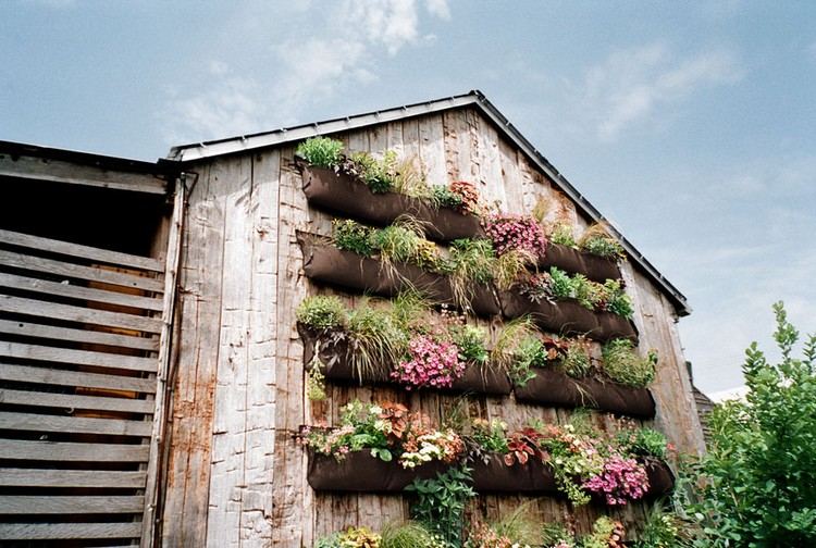 criativo-vertical-plantando-idéias-fachada