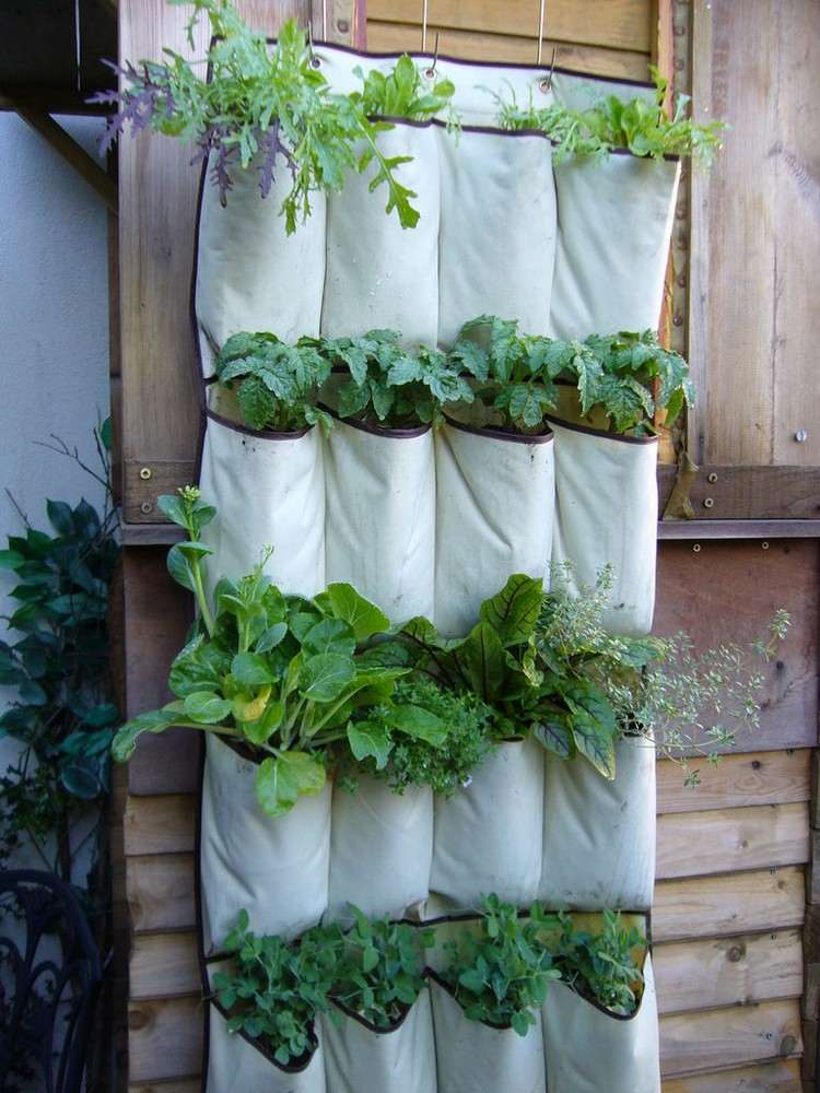 vertical-plantar-jardim-pendurar-organizador
