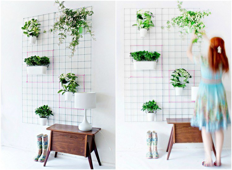 Plantio vertical, jardinagem vertical, parede de planta interna