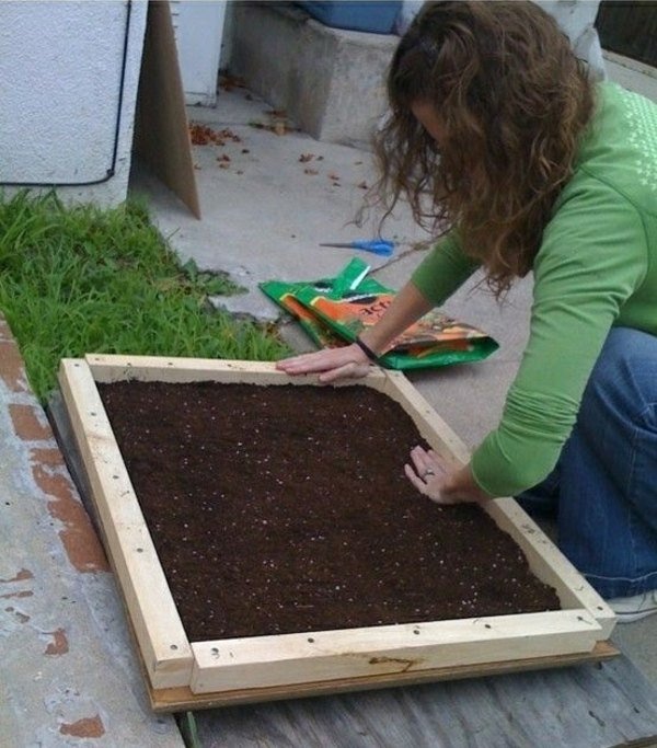 Enquadrar jardins verticais para construir ideias