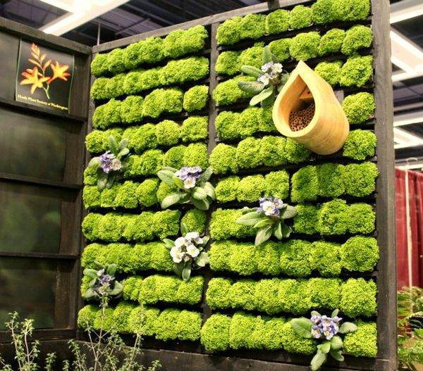 crie projetos de ideias para paredes verdes