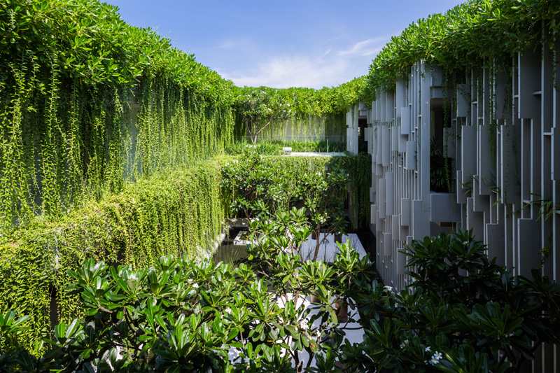 vertical-jardim-design-escalada-plantas-jardim-lagoa
