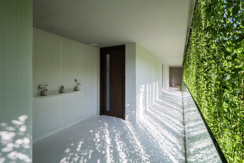 vertical-jardim-escalada de plantas-corredor-iluminação-efeitos-brincar-sombras