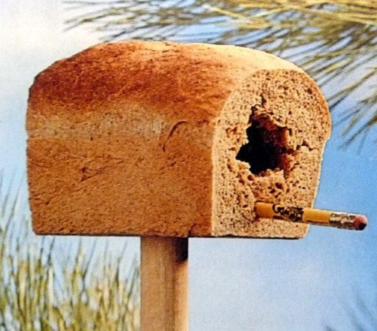 Comedouros para pássaros, pássaros pães e pássaros - construa suas próprias ideias de forma criativa