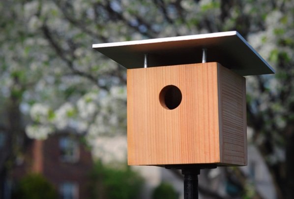 Construa sua própria casa de pássaros