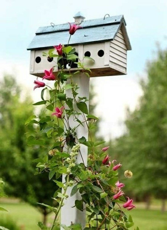 Decoração de guia de construção de jardim de casa de pássaro