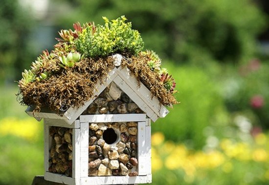 Jardim de ideias criativas para casas de pássaros