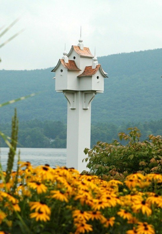 lindas flores de casa de passarinho