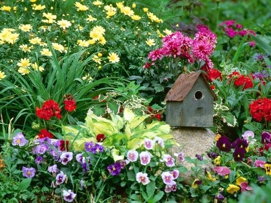 pequeno pássaro flores no jardim da casa