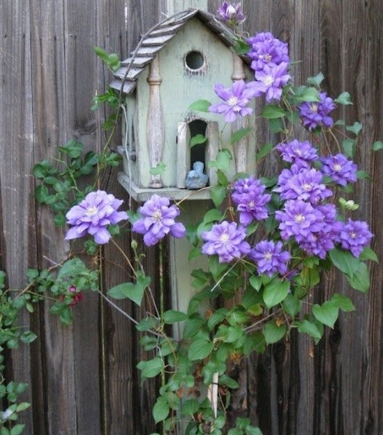 Jardim de casa de passarinho de madeira