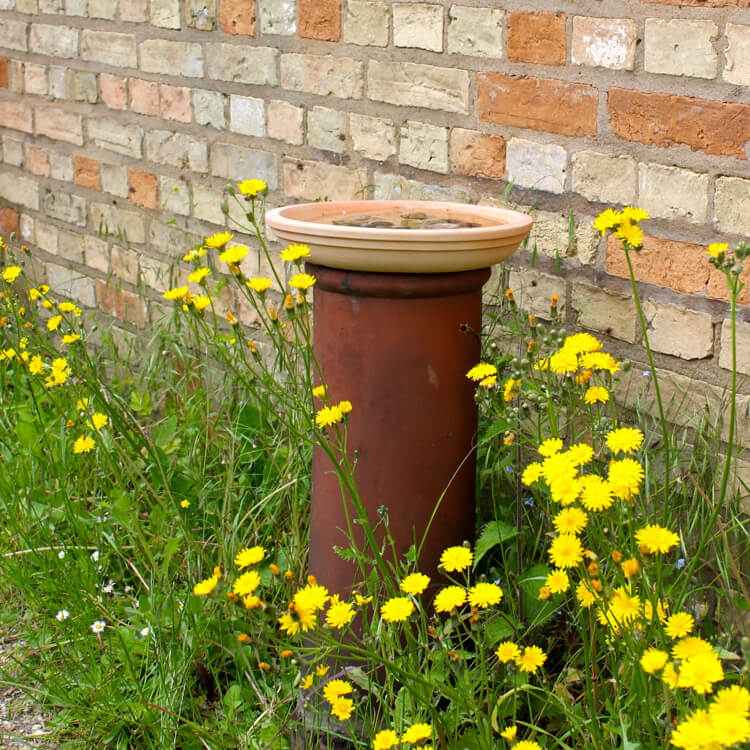 Faça seu próprio banho de pássaro em um galho de argila e coloque-o no jardim