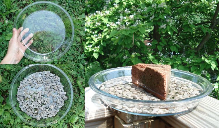 Faça seu próprio banho de pássaros para varandas usando placas de vidro e pedras e tijolos de rio