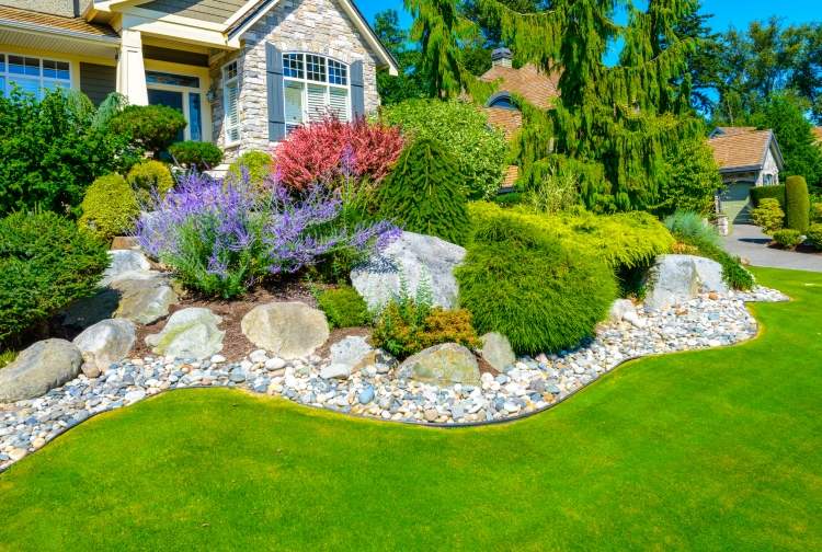 Crie jardim-ideias-jardim-design-fácil-cuidar-plantas perenes