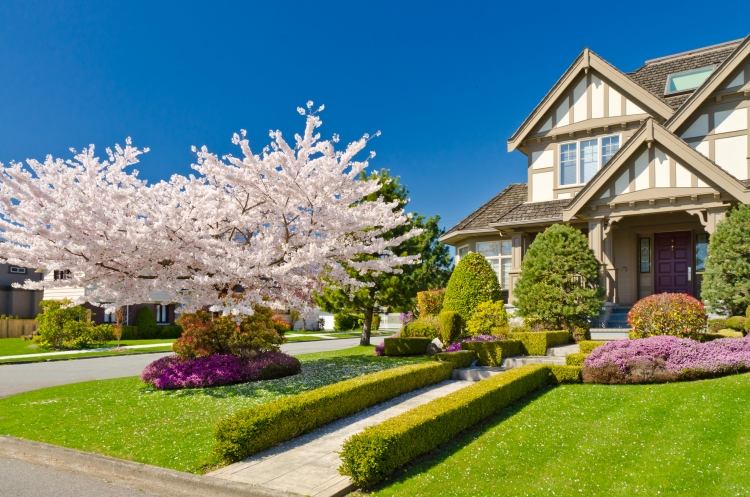 Crie-casa-jardim-frente-árvore-gramado-idéias-design-fácil de cuidar