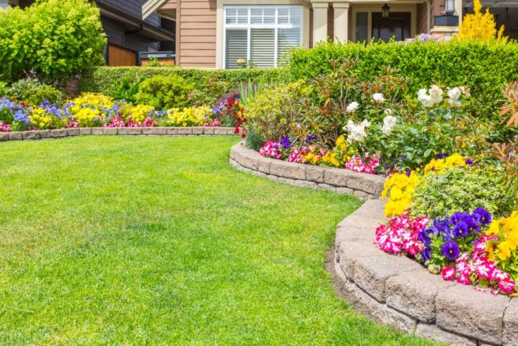 Crie um jardim-canteiro de flores-em vez de-gramado-fácil-cuidar-sazonal