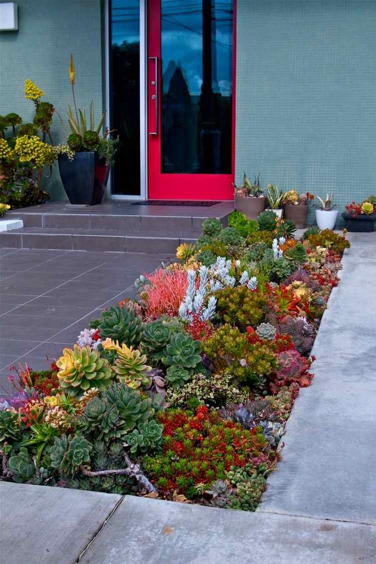 Design-jardim-frente-fácil-cuidar-suculentas-diferentes-tipos-cores