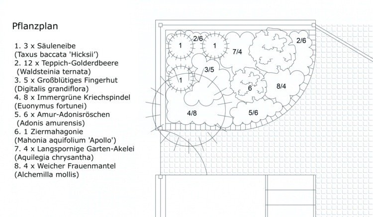 Projete o jardim da frente no lado norte - plano de plantio