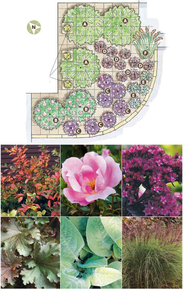 Jardim frontal lado norte gramíneas arbustos rosas plantas perenes de plantio