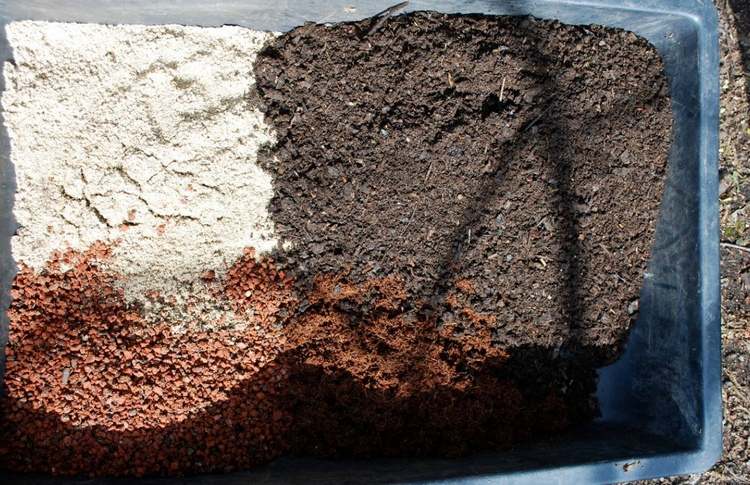 Desinfete o solo de envasamento para mudas com água fervente