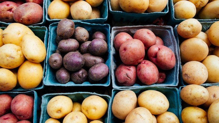 Fatores que influenciam o IG das batatas