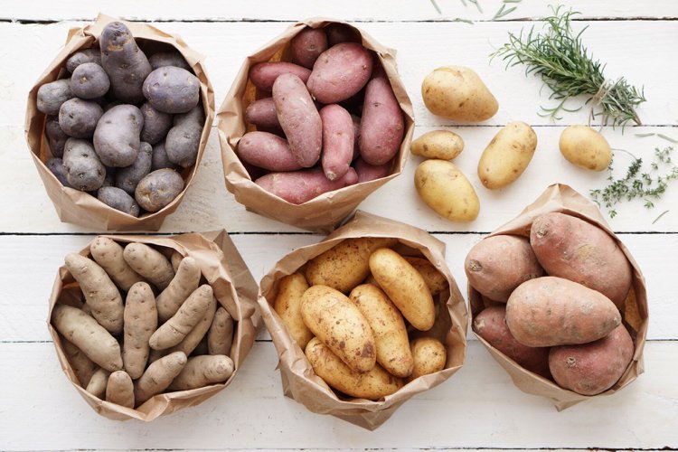 Batatas têm alto índice glicêmico