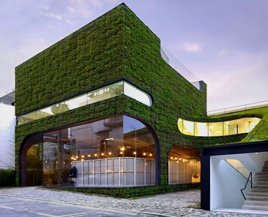 casa-arquitetura-verde-moderna-sustentável