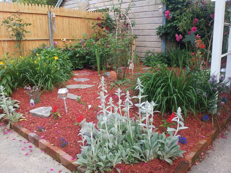 beterraba-mulching-red-mulch-flower-garden