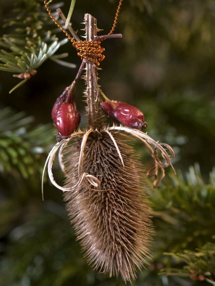 decorações para árvores de natal feitas de materiais naturais rosa hip-pendant-idea-diy