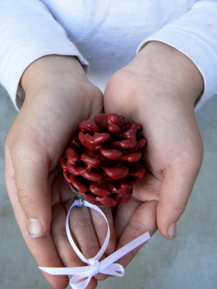 Decorações para árvores de Natal feitas de materiais naturais pinha-cera-vermelho-funileiro