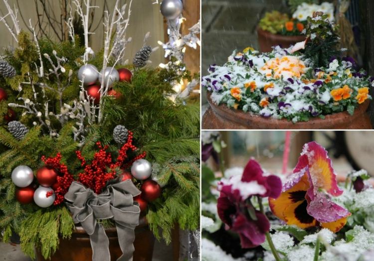natal-decoração-varanda-inverno-flores-amor-perfeito-christrose-colorido