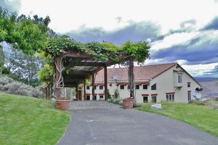 Entrada com telhado de pérgula com jardim de videiras na frente da grande casa