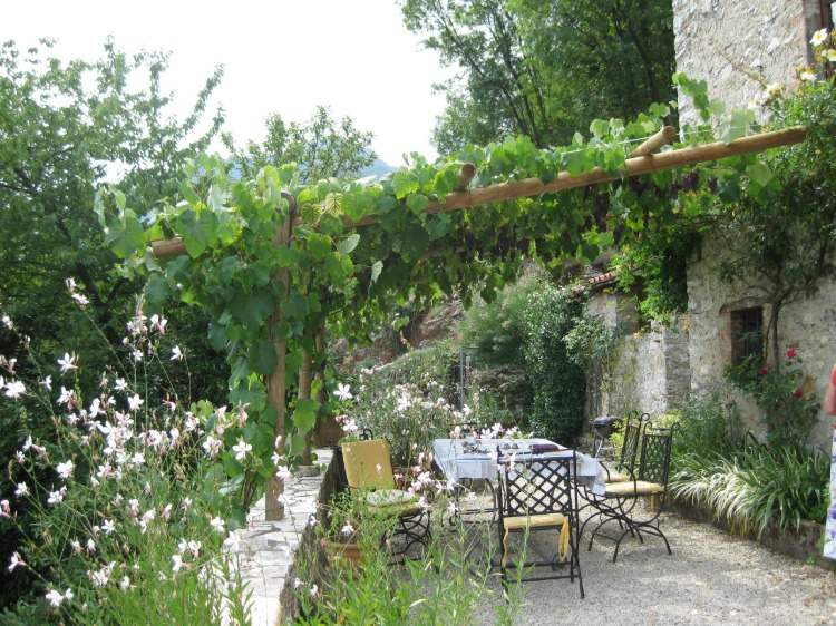 Pergola com videiras acima da mesa de jantar e cadeiras em estilo mediterrâneo rústico