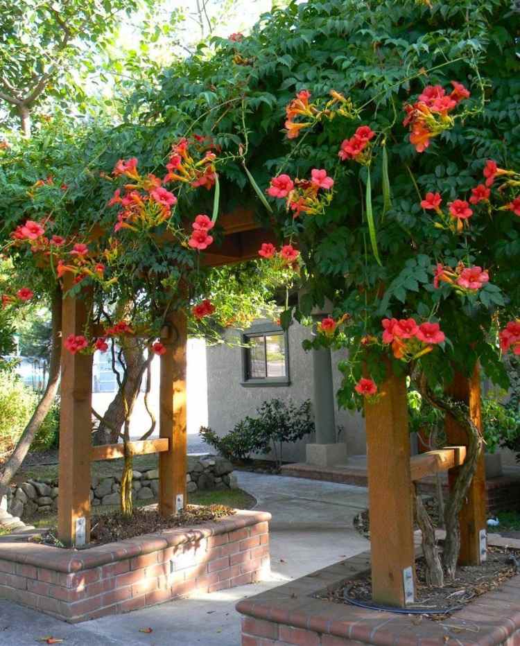 flores vermelhas de flor de trombeta na entrada do pátio