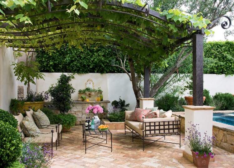 área de pátio elegante com piscina e videira tornam a pérgula um belo design de jardim