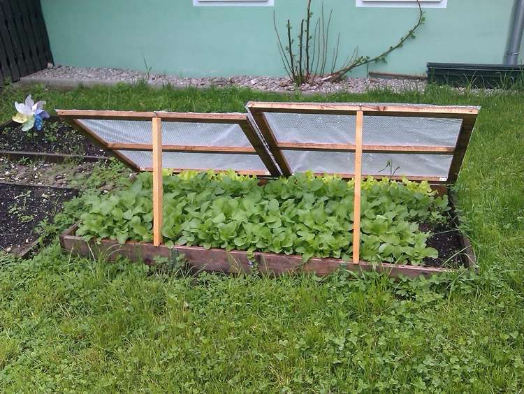 Molduras frias de madeira e chapas multi-parede para saladas