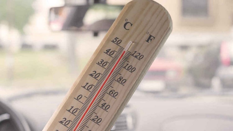 Calor no carro o que fazer Dicas para proteção solar