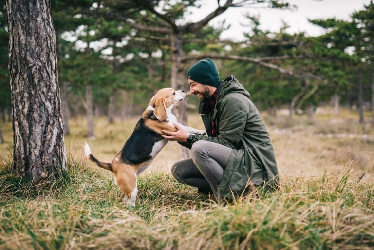 ver melhor cachorro reconhecer cores humanas