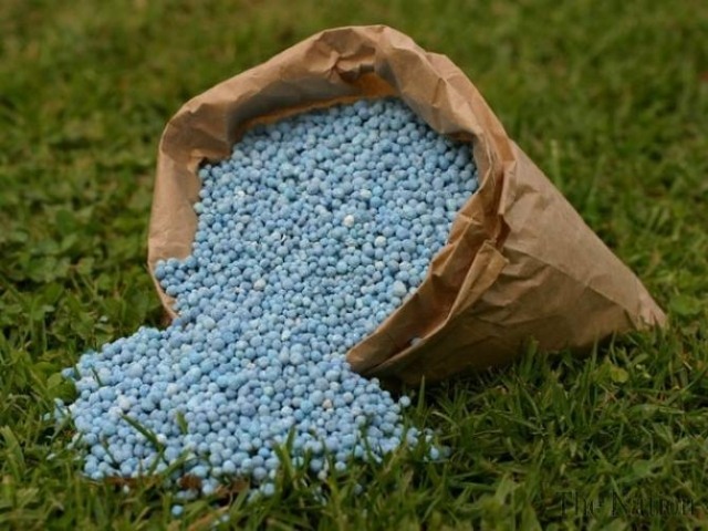 Fertilizantes dependendo do solo, a variedade vegetal no jardim