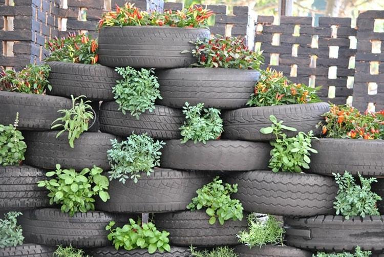 Plante pneus de carro com plantas ornamentais verdes e floridas