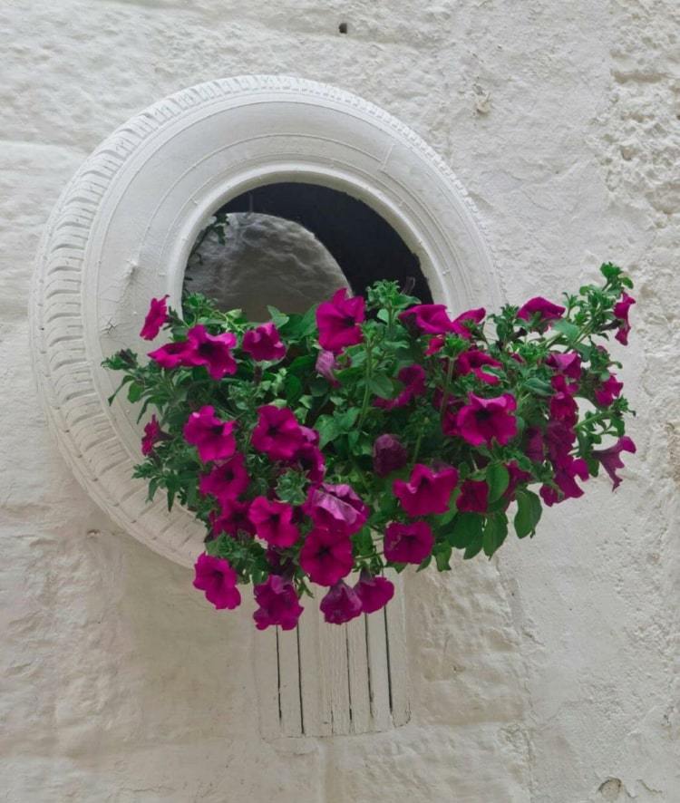 Pneus de carro como floreira com petúnias - ideia de reciclagem para o jardim
